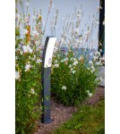 Standing garden lamps - Lutec Outdoor Standing KIRA 7288906118 - product 5