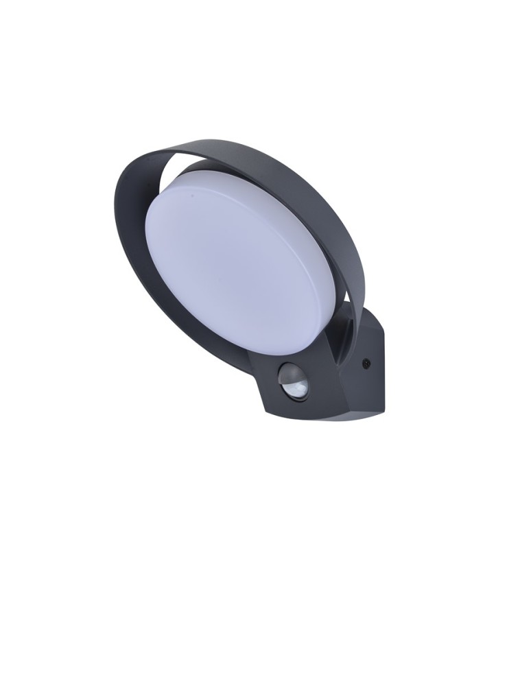 Outdoor lights with motion sensor - Lutec Outdoor Wall Mounted POLO 5205702118 - product kolory-swiatla.pl 1