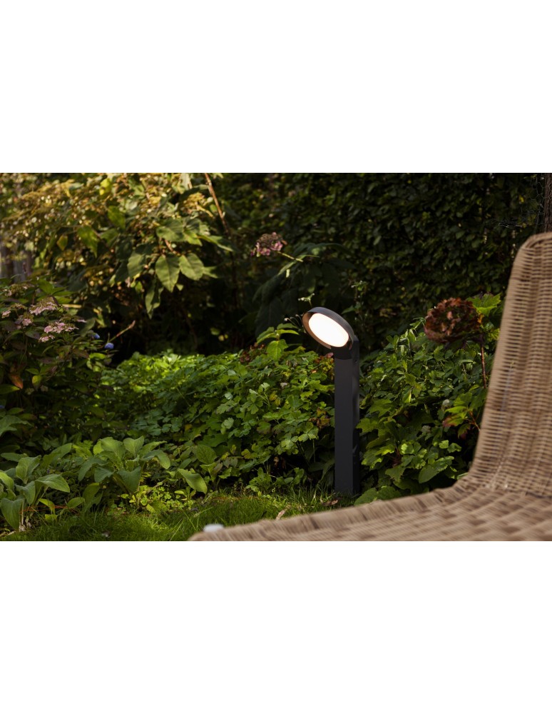 Standing garden lamps - Lutec Outdoor Standing POLO 7105701118 - product kolory-swiatla.pl 2