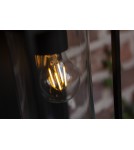 Outdoor wall lamps - Lutec Outdoor Wall FLAIR 6988804012 - product 6