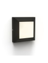 Lutec Outdoor Wall Mounted HELENA 6402105012