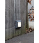 Outdoor wall lamps - Lutec Outdoor Wall Mounted HELENA 6402105012 - product 3