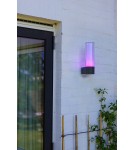 Outdoor wall lamps - Lutec Outdoor Wall DROPA 5000501118 - product 4