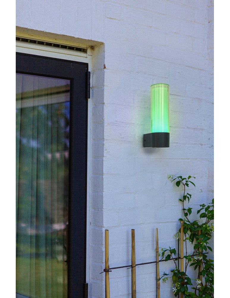 Outdoor wall lamps - Lutec Outdoor Wall DROPA 5000501118 - product kolory-swiatla.pl 5