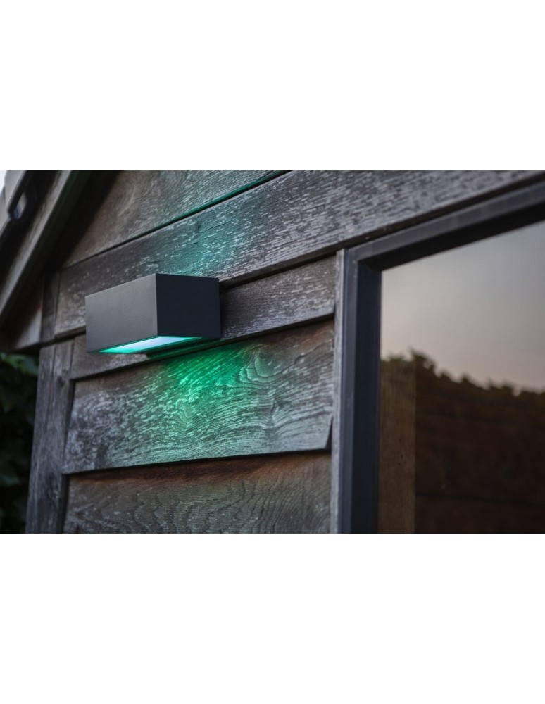 Outdoor wall lamps - Lutec Outdoor Wall Mounted GEMINI 5189120118 - product kolory-swiatla.pl 2