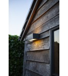 Outdoor wall lamps - Lutec Outdoor Wall Mounted GEMINI 5189120118 - product 3