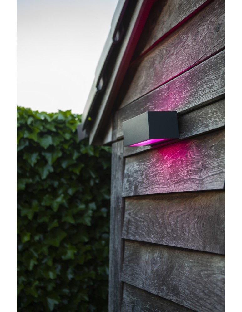 Outdoor wall lamps - Lutec Outdoor Wall Mounted GEMINI 5189120118 - product kolory-swiatla.pl 4