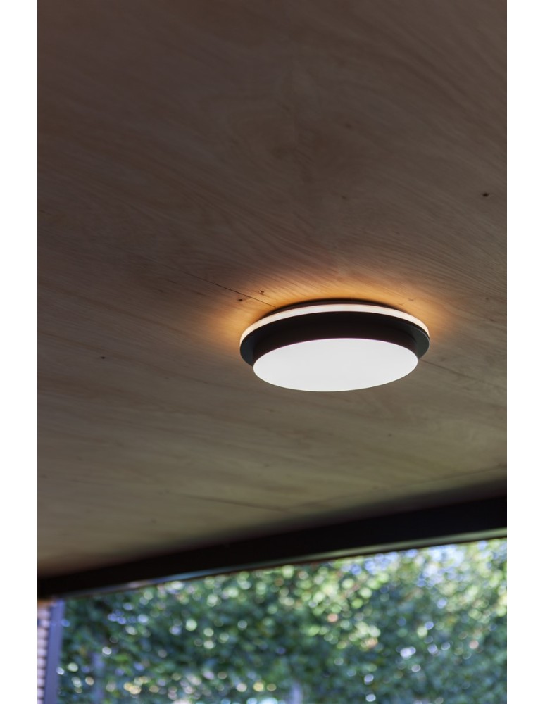 Outdoor ceiling lamps - Lutec Outdoor Ceiling GOLETA 5205801012 - product kolory-swiatla.pl 6