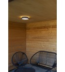 Outdoor ceiling lamps - Lutec Outdoor Ceiling GOLETA 5205801012 - product 8