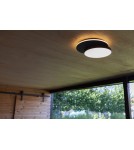 Outdoor ceiling lamps - Lutec Outdoor Ceiling GOLETA 5205801012 - product 10