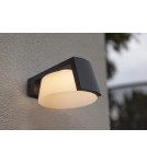 Outdoor wall lamps - Lutec Outdoor Wall MOON 5206001118 - product 7