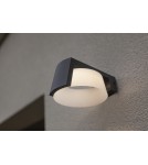 Outdoor wall lamps - Lutec Outdoor Wall MOON 5206001118 - product 8