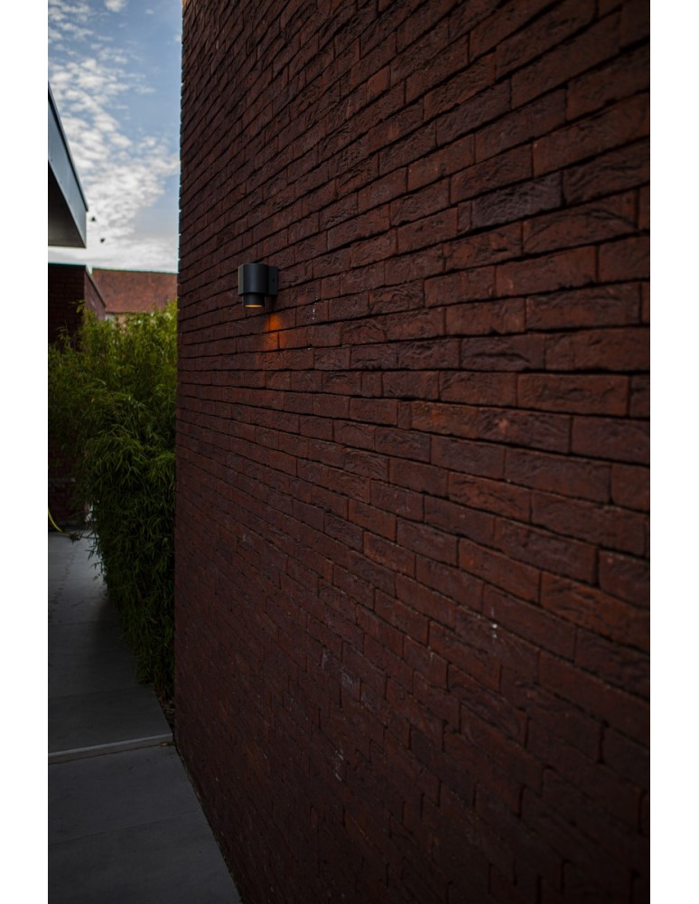 Outdoor wall lamps - Lutec Outdoor Wall Mounted CYPRES 6604001118 - product kolory-swiatla.pl 5