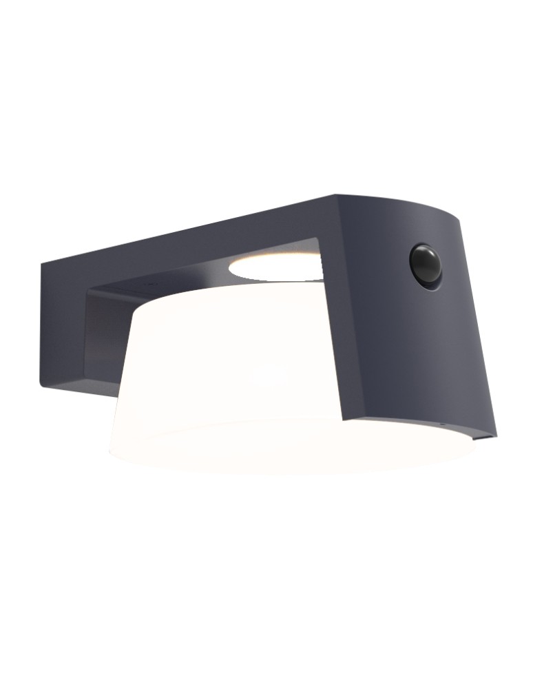 Solar lamps - Lutec Outdoor Solar MOON SOLAR - MOVEMENT SENSOR 6906001118 - product kolory-swiatla.pl 1