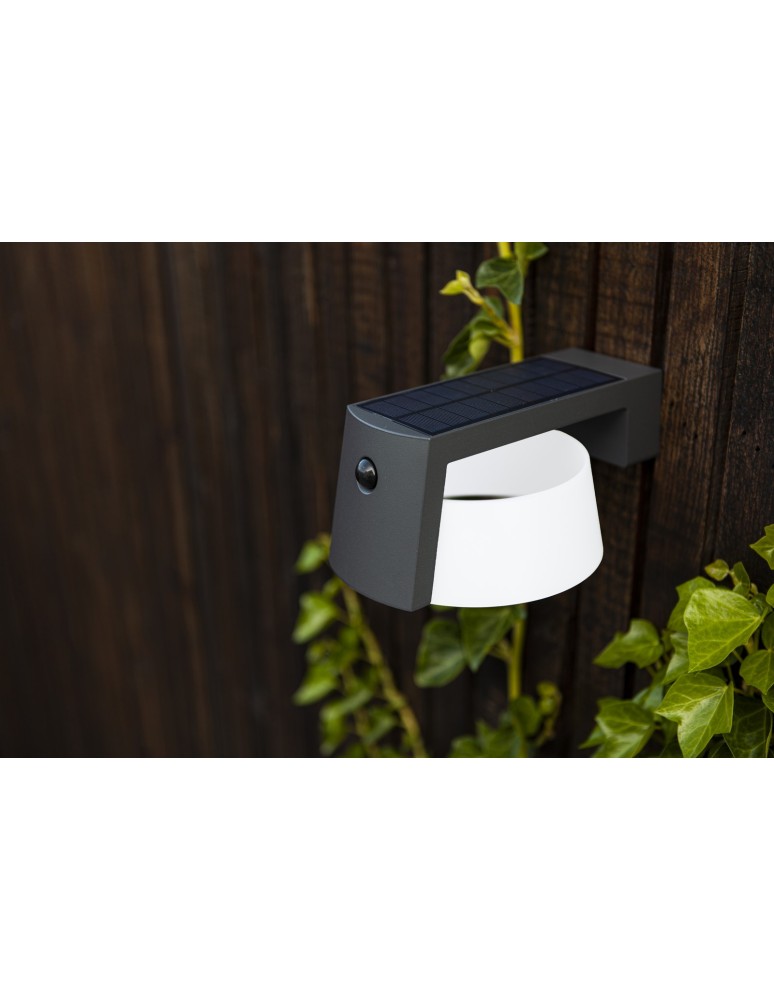 Solar lamps - Lutec Outdoor Solar MOON SOLAR - MOVEMENT SENSOR 6906001118 - product kolory-swiatla.pl 2