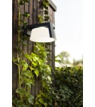 Solar lamps - Lutec Outdoor Solar MOON SOLAR - MOVEMENT SENSOR 6906001118 - product 3