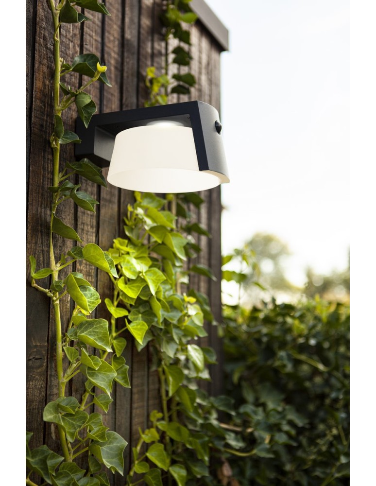Solar lamps - Lutec Outdoor Solar MOON SOLAR - MOVEMENT SENSOR 6906001118 - product kolory-swiatla.pl 3