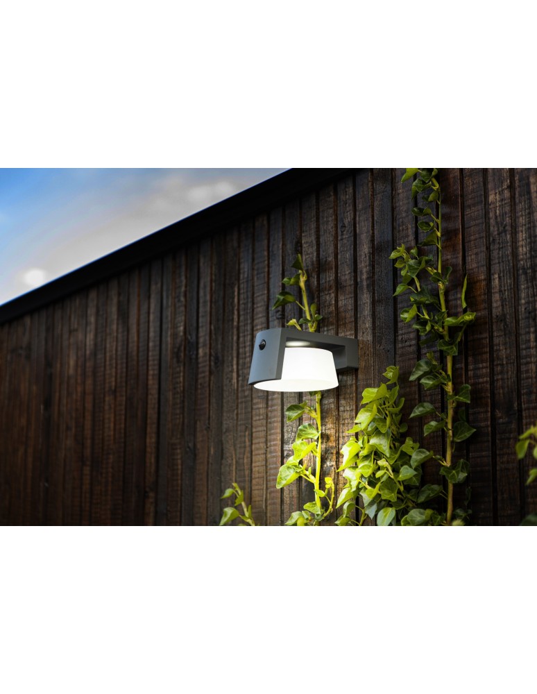 Solar lamps - Lutec Outdoor Solar MOON SOLAR - MOVEMENT SENSOR 6906001118 - product kolory-swiatla.pl 4