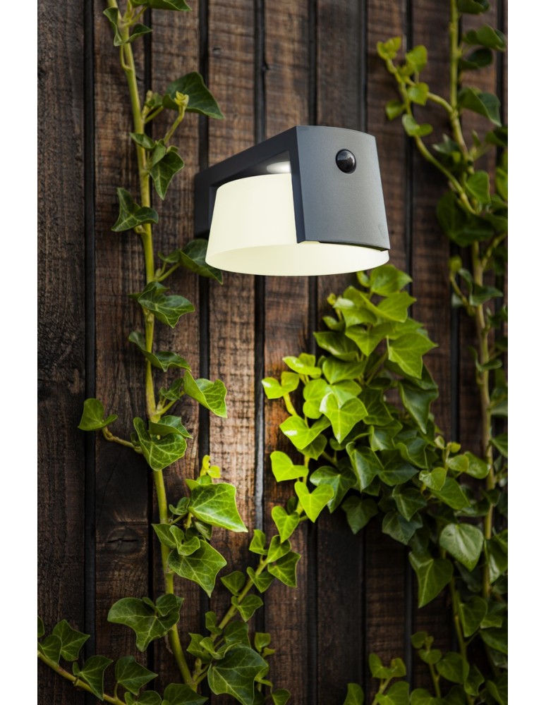 Solar lamps - Lutec Outdoor Solar MOON SOLAR - MOVEMENT SENSOR 6906001118 - product kolory-swiatla.pl 6