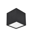 Outdoor ceiling lamps - Lutec Outdoor Ceiling GEMINI 6389102012 - product 1
