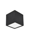 Lutec Outdoor Ceiling GEMINI 6389102012