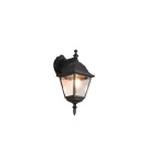 Outdoor wall lamps - Trio Outdoor Wall Mounted LIVENZA 205767132 - product 1