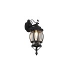 Outdoor wall lamps - Trio Outdoor Wall Mounted ELVO 206960132 - product 1
