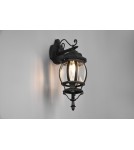 Outdoor wall lamps - Trio Outdoor Wall Mounted ELVO 206960132 - product 7
