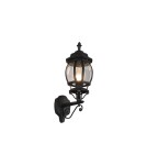 Outdoor wall lamps - Trio Outdoor Wall Mounted ELVO 206967132 - product 1
