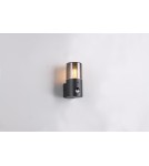 Outdoor lights with motion sensor - Trio Outdoor Wall-mounted HOOSIC - MOVEMENT SENSOR 222260132 - product 7