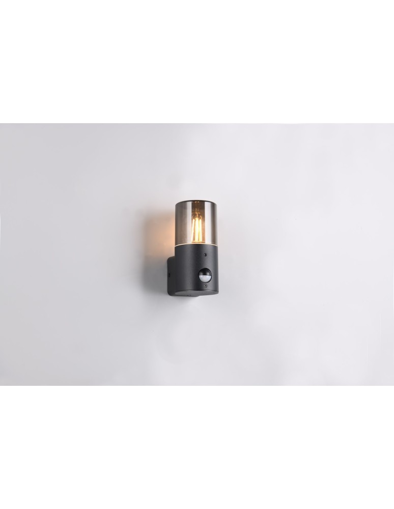 Outdoor lights with motion sensor - Trio Outdoor Wall-mounted HOOSIC - MOVEMENT SENSOR 222260132 - product kolory-swiatla.pl 7
