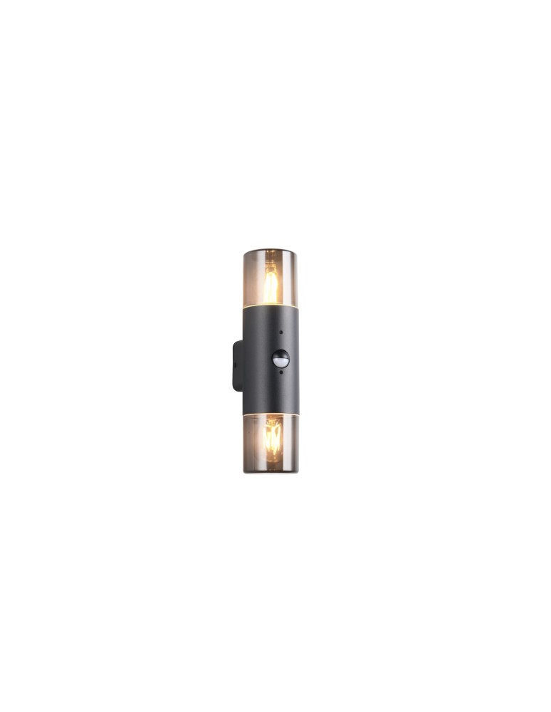 Outdoor lights with motion sensor - Trio Outdoor Wall-mounted HOOSIC - MOVEMENT SENSOR 222260232 - product kolory-swiatla.pl 1