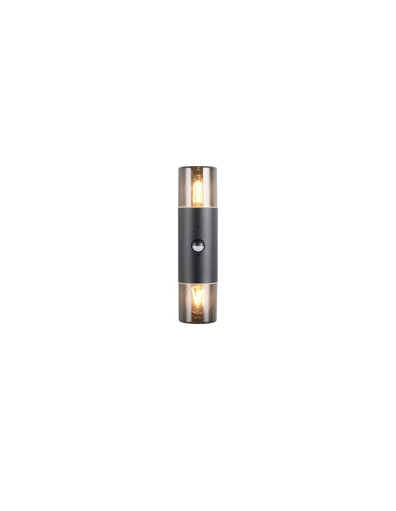 Outdoor lights with motion sensor - Trio Outdoor Wall-mounted HOOSIC - MOVEMENT SENSOR 222260232 - product kolory-swiatla.pl 3