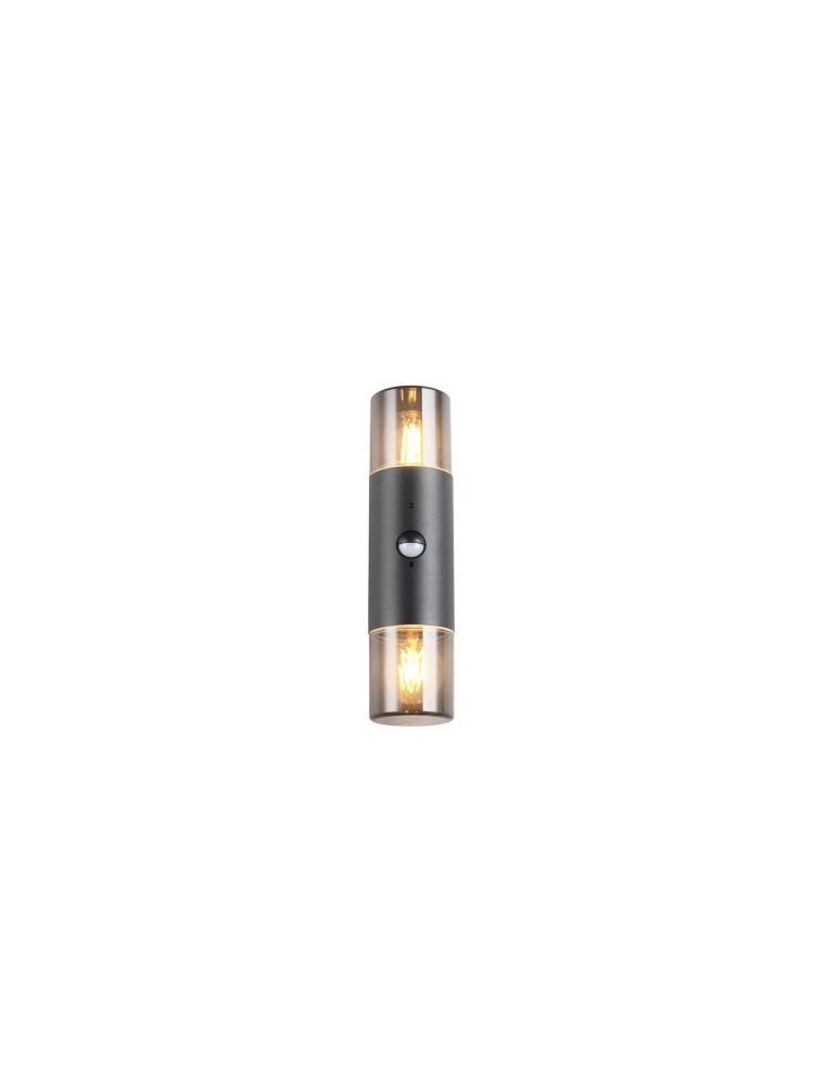 Outdoor lights with motion sensor - Trio Outdoor Wall-mounted HOOSIC - MOVEMENT SENSOR 222260232 - product kolory-swiatla.pl 4