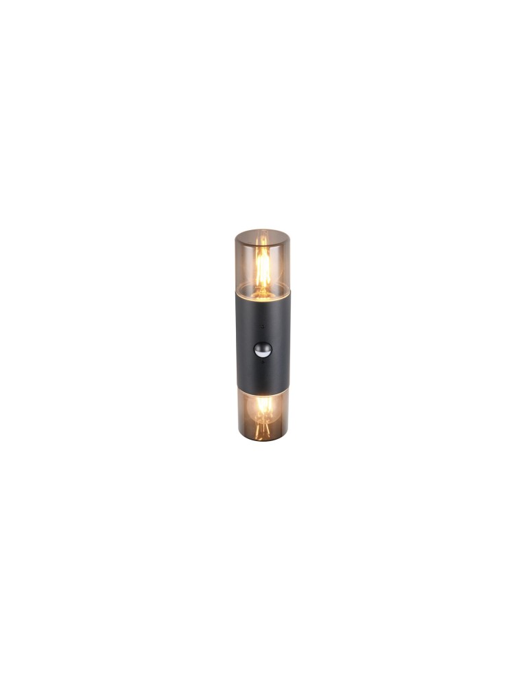 Outdoor lights with motion sensor - Trio Outdoor Wall-mounted HOOSIC - MOVEMENT SENSOR 222260232 - product kolory-swiatla.pl 5