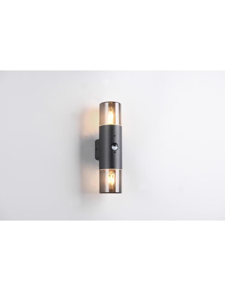 Outdoor lights with motion sensor - Trio Outdoor Wall-mounted HOOSIC - MOVEMENT SENSOR 222260232 - product kolory-swiatla.pl 7
