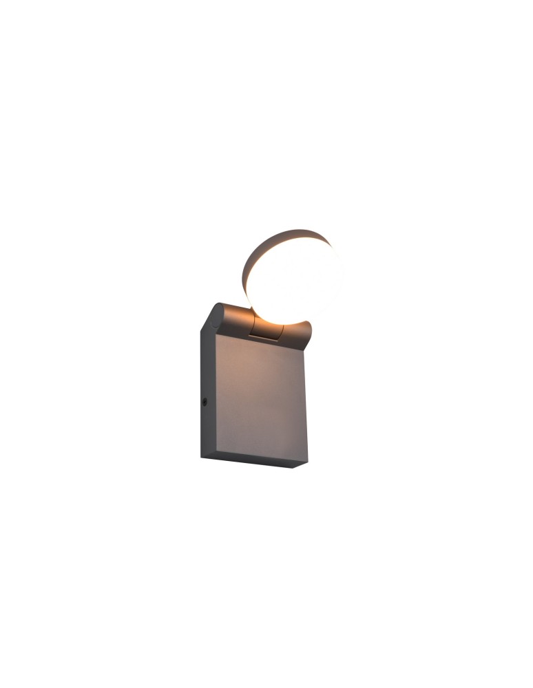 Outdoor wall lamps - Trio Outdoor Wall Mount ADOUR 245560142 - product kolory-swiatla.pl 1