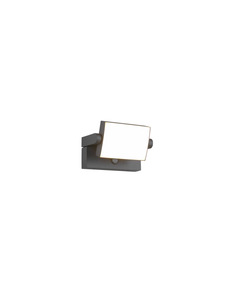 Outdoor lights with motion sensor - Trio Outdoor Wall-mounted KANSAS - MOVEMENT SENSOR 246869142 - product kolory-swiatla.pl 1