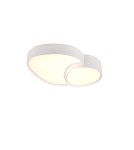 LED ceiling lamps - Trio Ceiling RISE 647510231 - product 1