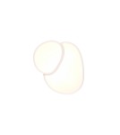 LED ceiling lamps - Trio Ceiling RISE 647510231 - product 3