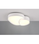 LED ceiling lamps - Trio Ceiling RISE 647510231 - product 4
