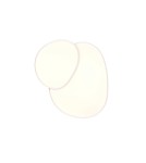 LED ceiling lamps - Trio Ceiling RISE 647519231 - product 3