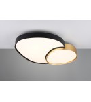 LED ceiling lamps - Trio Ceiling RISE 647519280 - product 4