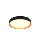 LED ceiling lamps - RL Ceiling FELIS R64391080 - product 1