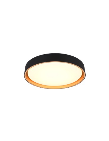 RL Ceiling FELIS R64391080