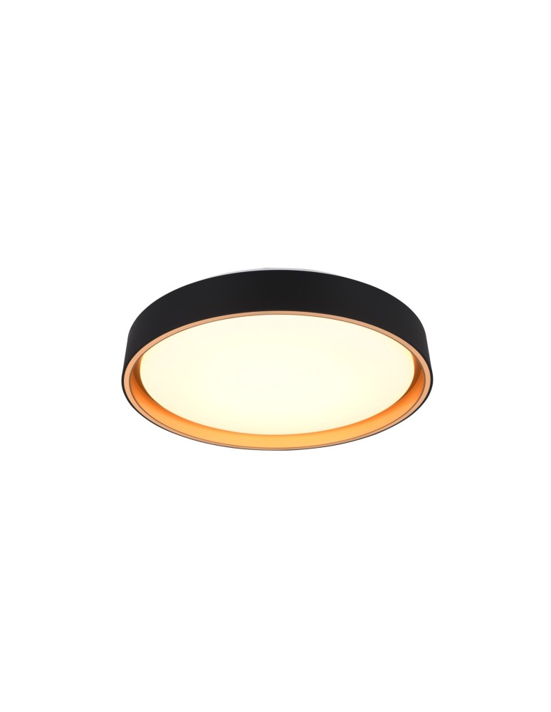 LED ceiling lamps - RL Ceiling FELIS R64391080 - product kolory-swiatla.pl 1