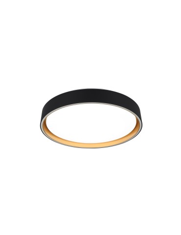RL Ceiling FELIS R64391080 - product 2