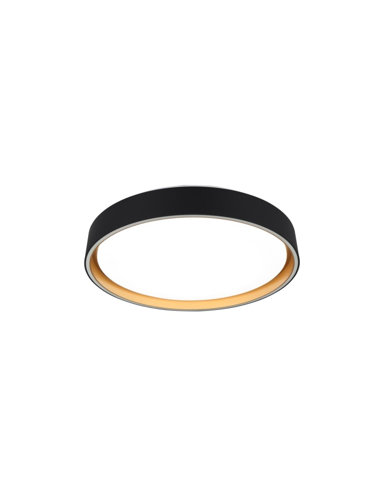 LED ceiling lamps - RL Ceiling FELIS R64391080 - product kolory-swiatla.pl 2