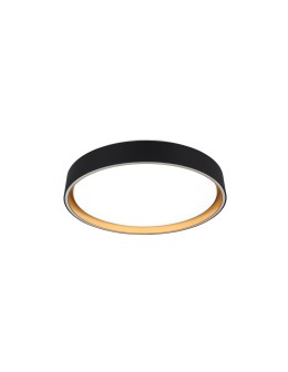 RL Ceiling FELIS R64391080 - product 2