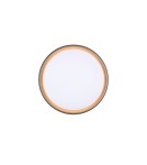 LED ceiling lamps - RL Ceiling FELIS R64391080 - product 4